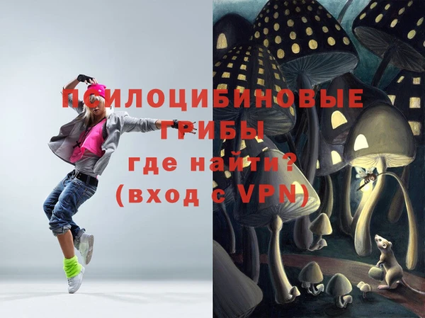 бошки Верея