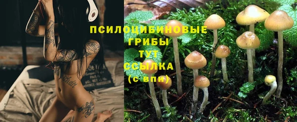 молекула духа Верхний Тагил