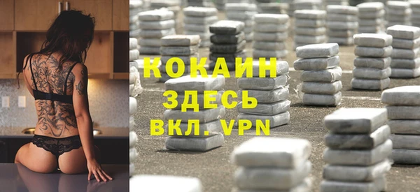 бошки Верея
