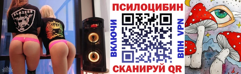 Галлюциногенные грибы Psilocybine cubensis Тула